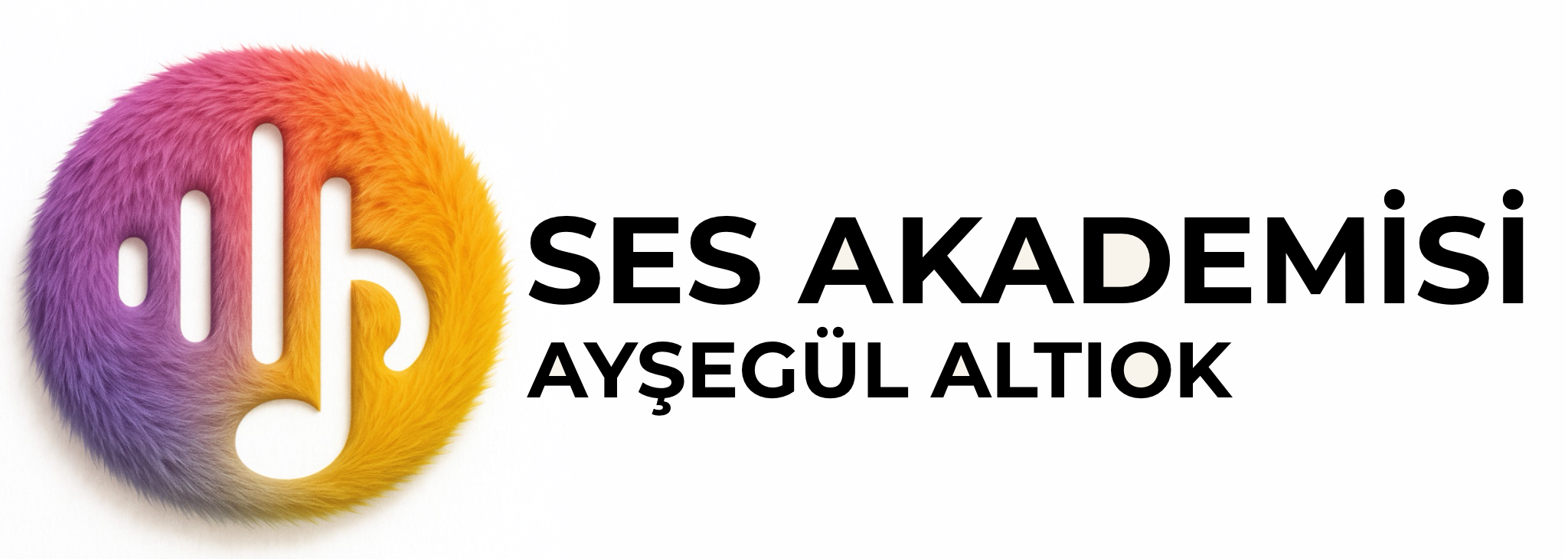 SES AKADEMİSİ